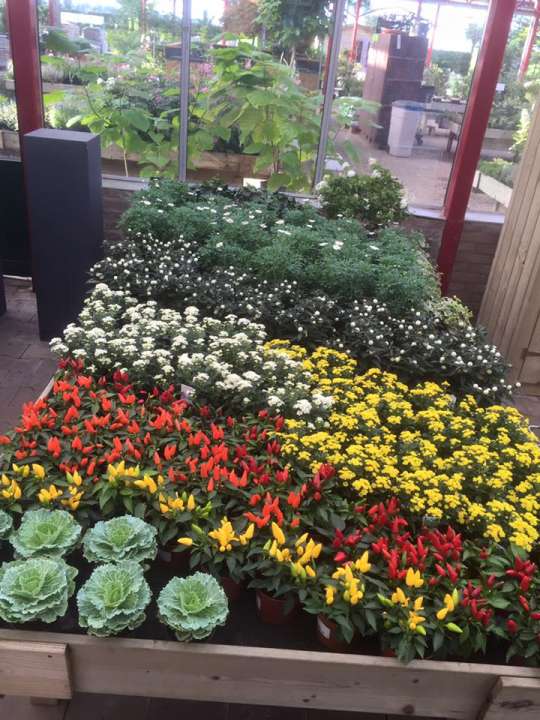 Tuincentrum nabij Purmerend bezoeken? Tuincentrum nabij Purmerend bezoeken?