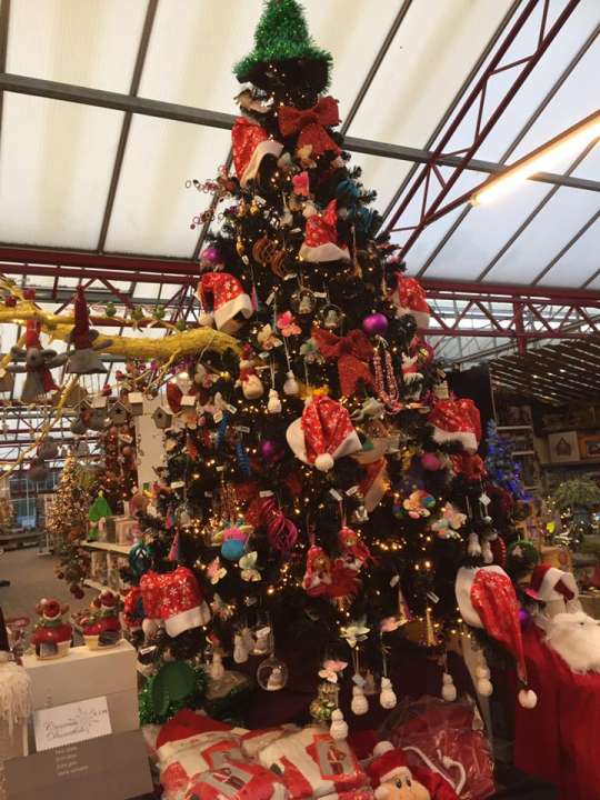 Kerst vieren nabij Volendam! Kerst vieren nabij Volendam!
