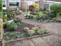 Inplanten onderhoudsvriendelijke tuin