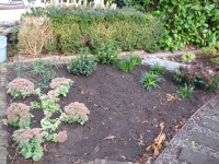 Inplanten onderhoudsvriendelijke tuin