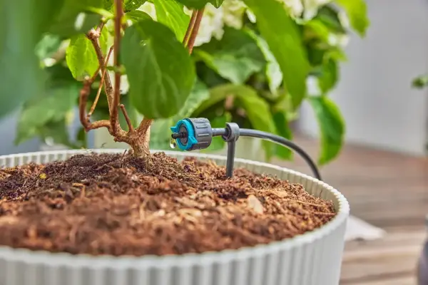 Bewatering