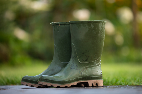 Kleding en schoeisel